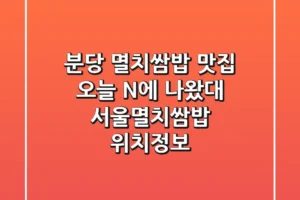 분당 멸치쌈밥 맛집, 오늘 N에 나왔대! 서울멸치쌈밥 위치정보