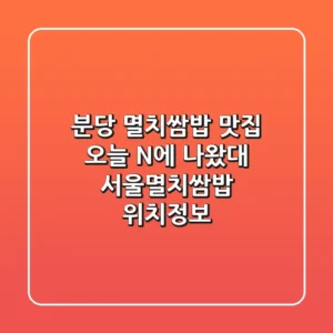 분당 멸치쌈밥 맛집, 오늘 N에 나왔대! 서울멸치쌈밥 위치정보