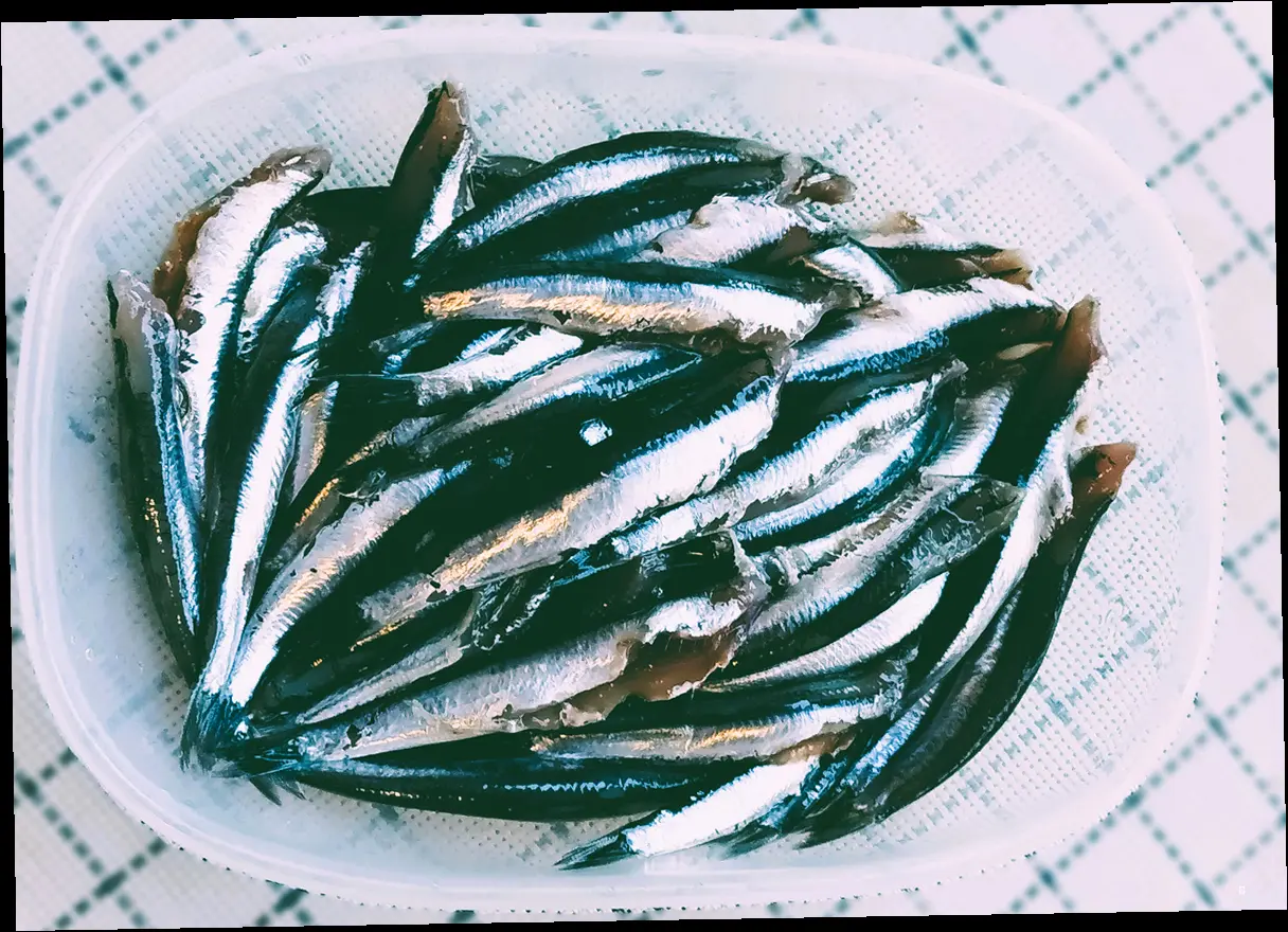 서울멸치쌈밥, 핵심 정보만 쏙쏙! (메뉴, 가격, 위치)