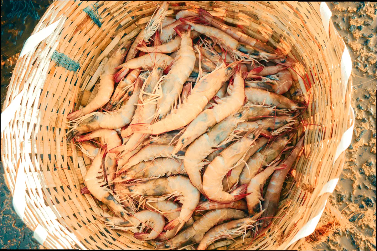 솔직 담백 후기! 맛, 분위기, 서비스까지 💯
