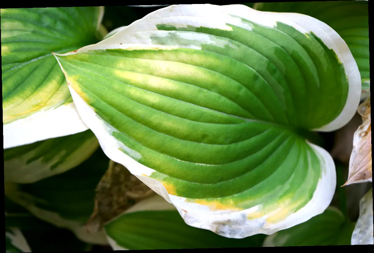 다중헌 기본 정보 한눈에 보기