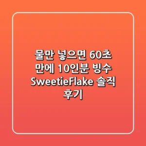 물만 넣으면 60초 만에 10인분 빙수?! SweetieFlake 솔직 후기