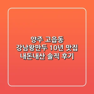 양주 고읍동 강남왕만두 10년 맛집, 내돈내산 솔직 후기