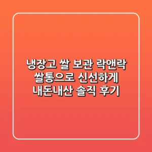 냉장고 쌀 보관, 락앤락 쌀통으로 신선하게! 내돈내산 솔직 후기