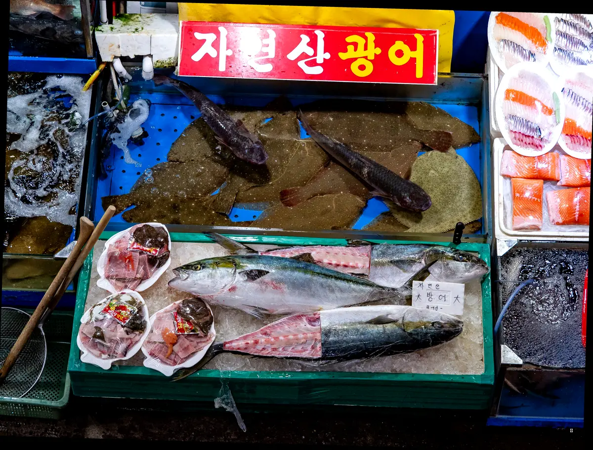 해미읍성 맛집 해미횟집, 왜 특별할까요?