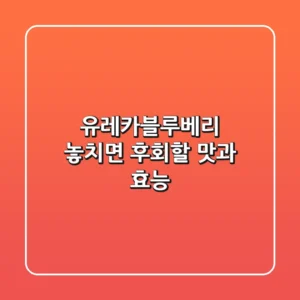 유레카블루베리: 놓치면 후회할 맛과 효능