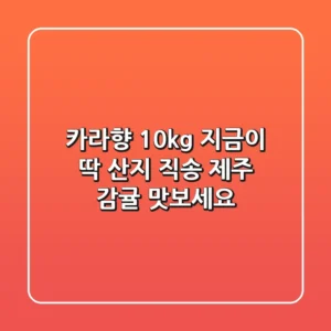 카라향 10kg, 지금이 딱! 산지 직송 제주 감귤 맛보세요