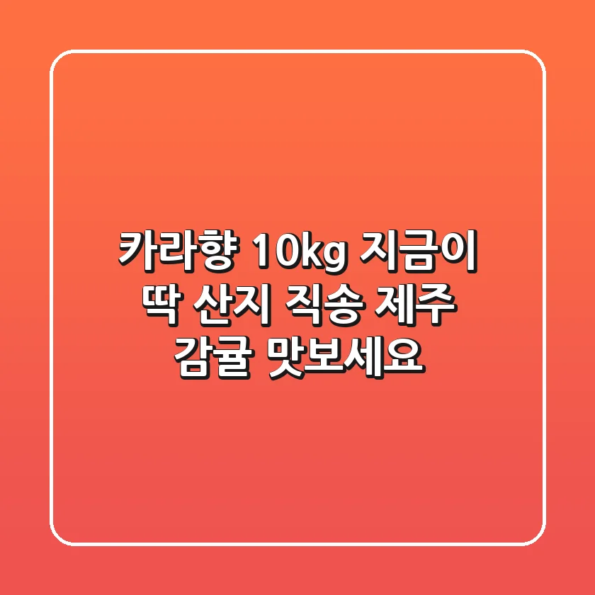 카라향 10kg, 지금이 딱! 산지 직송 제주 감귤 맛보세요