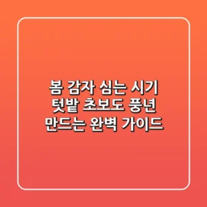 봄 감자 심는 시기: 텃밭 초보도 풍년 만드는 완벽 가이드