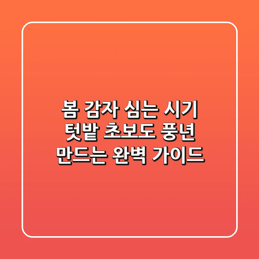 봄 감자 심는 시기: 텃밭 초보도 풍년 만드는 완벽 가이드