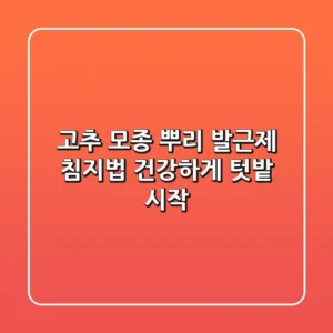 고추 모종 뿌리 발근제 침지법: 건강하게 텃밭 시작!