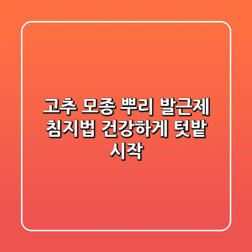 고추 모종 뿌리 발근제 침지법: 건강하게 텃밭 시작!