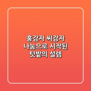 홍감자 씨감자 나눔으로 시작된 텃밭의 설렘