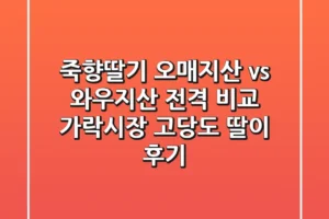 죽향딸기, 오매지산 vs 와우지산 전격 비교! 가락시장 고당도 딸이 후기