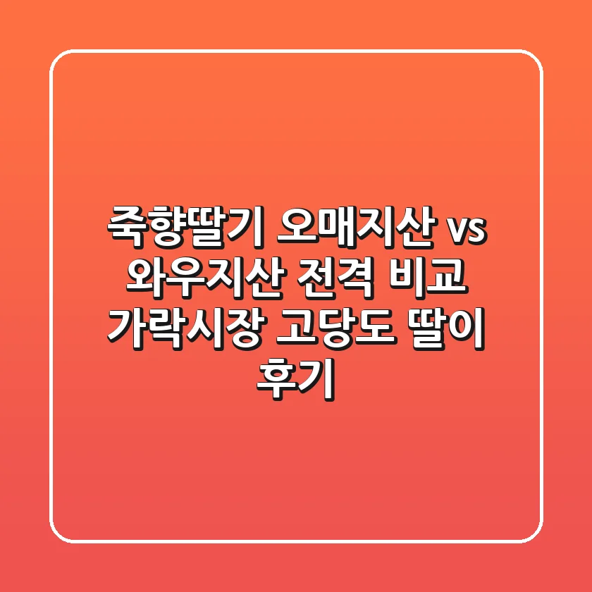 죽향딸기, 오매지산 vs 와우지산 전격 비교! 가락시장 고당도 딸이 후기