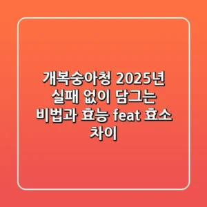 개복숭아청, 2025년 실패 없이 담그는 비법과 효능 (feat. 효소 차이)