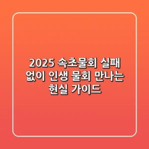 2025 속초물회, 실패 없이 '인생 물회' 만나는 현실 가이드