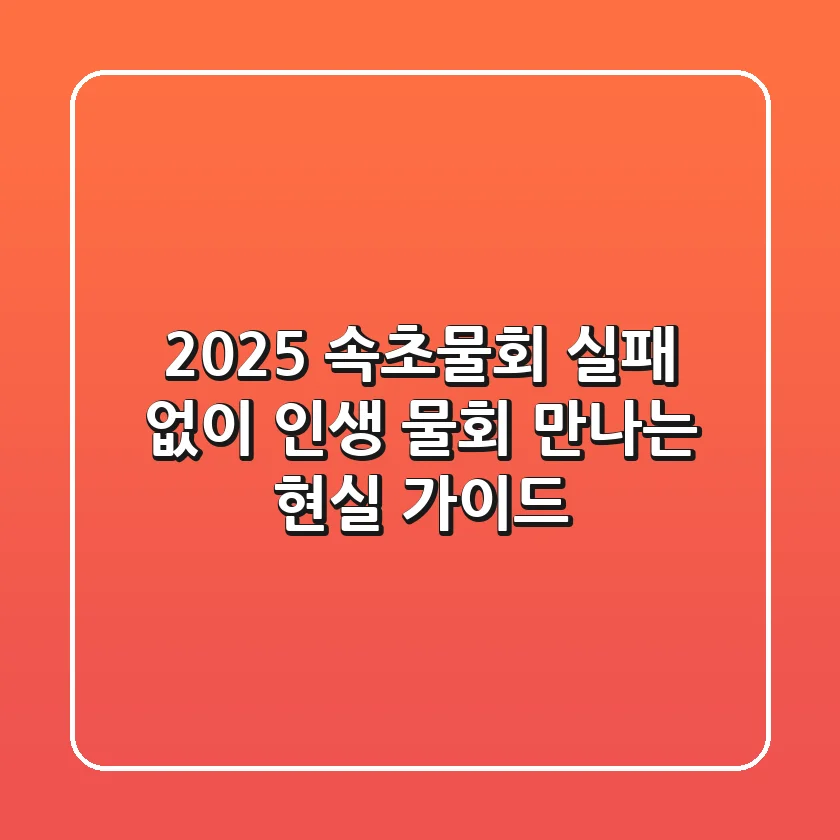 2025 속초물회, 실패 없이 '인생 물회' 만나는 현실 가이드