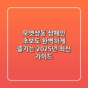 모엣샹동, 샴페인 초보도 완벽하게 즐기는 2025년 최신 가이드
