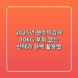 2025년 햇수미감자 10KG, 후회 없는 선택과 완벽 활용법!