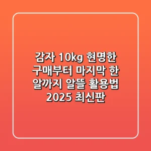 감자 10kg, 현명한 구매부터 마지막 한 알까지 알뜰 활용법 (2025 최신판)