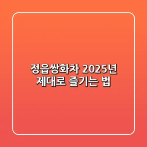 정읍쌍화차, 2025년 제대로 즐기는 법