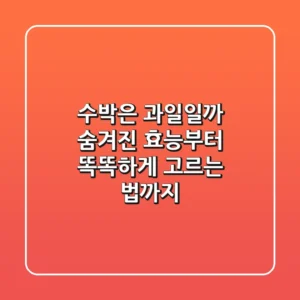 수박은 과일일까? 숨겨진 효능부터 똑똑하게 고르는 법까지!