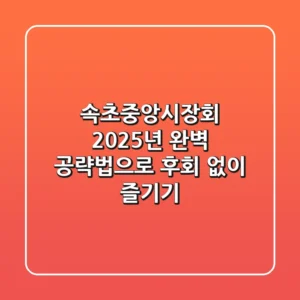 속초중앙시장회, 2025년 완벽 공략법으로 후회 없이 즐기기