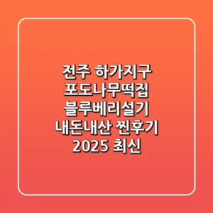 전주 하가지구 포도나무떡집, 블루베리설기 내돈내산 찐후기 (2025 최신)