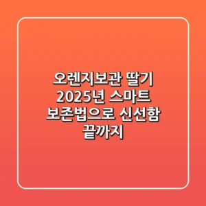 오렌지보관 딸기, 2025년 스마트 보존법으로 신선함 끝까지!