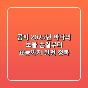 곰피, 2025년 바다의 보물: 손질부터 효능까지 완전 정복