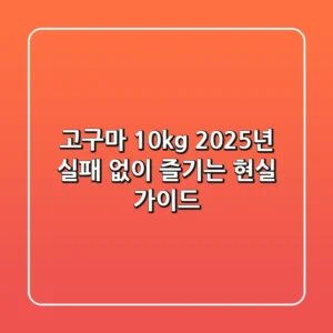 고구마 10kg, 2025년 실패 없이 즐기는 현실 가이드