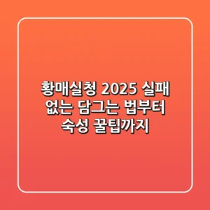 황매실청 2025, 실패 없는 담그는 법부터 숙성 꿀팁까지