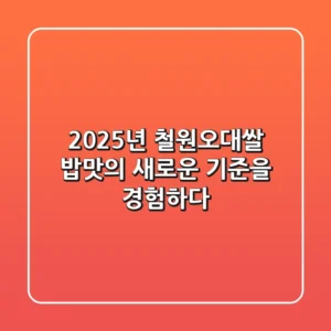 2025년 철원오대쌀: 밥맛의 새로운 기준을 경험하다