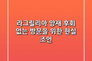 라그릴리아 양재, 후회 없는 방문을 위한 현실 조언