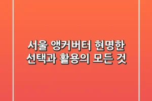 서울 앵커버터, 현명한 선택과 활용의 모든 것