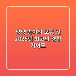 양양 '송이'의 모든 것: 2025년 최고의 경험 가이드