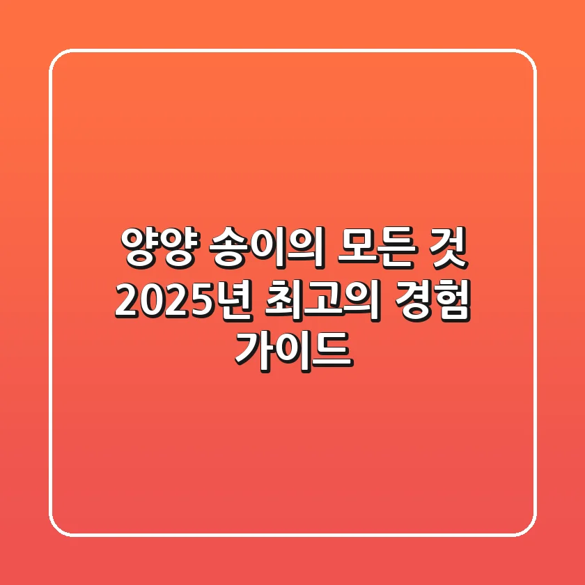 양양 '송이'의 모든 것: 2025년 최고의 경험 가이드