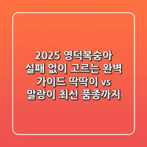 2025 영덕복숭아, 실패 없이 고르는 완벽 가이드! (딱딱이 vs 말랑이, 최신 품종까지)